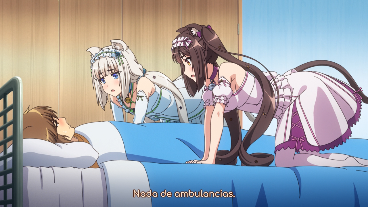 Nekopara (Yoru no Kousen)